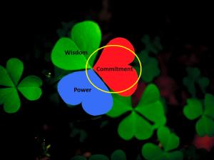 3 leaf clover 3 dimensions of ministry_controlling believer