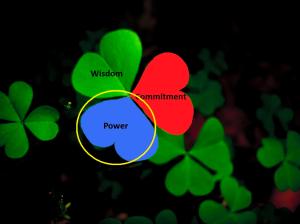 3 leaf clover 3 dimensions of ministry_spiritualizing believer