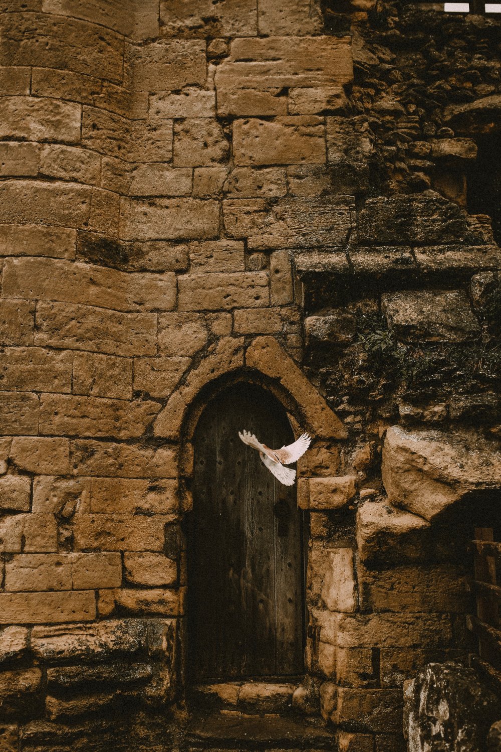 Fortress by rikki-austin-1592571-unsplash.jpg